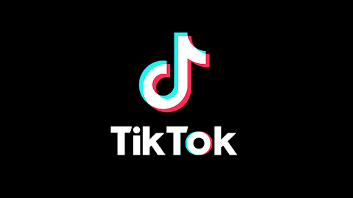 The World of TikTok