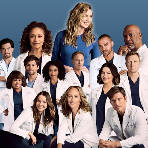 Greys Anatomy: Yay or Nay?